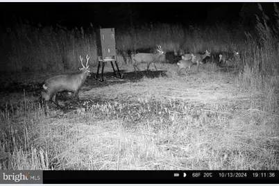007 Griffith Neck Road, Cambridge, MD 21613 - Photo 109