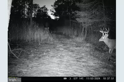007 Griffith Neck Road, Cambridge, MD 21613 - Photo 113