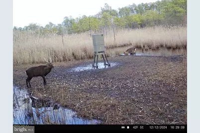 007 Griffith Neck Road, Cambridge, MD 21613 - Photo 105