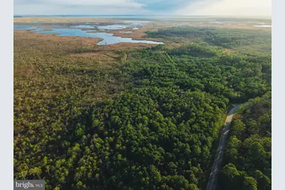 007 Griffith Neck Road, Cambridge, MD 21613 - Photo 25