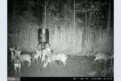 007 Griffith Neck Road, Cambridge, MD 21613 - Photo 115