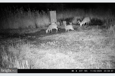 007 Griffith Neck Road, Cambridge, MD 21613 - Photo 111