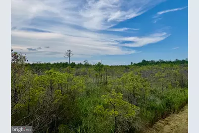 007 Griffith Neck Road, Cambridge, MD 21613 - Photo 59