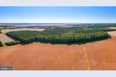 Elliott Island Road, Vienna, MD 21869 - Photo 9