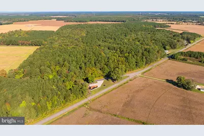 Elliott Island Road, Vienna, MD 21869 - Photo 5