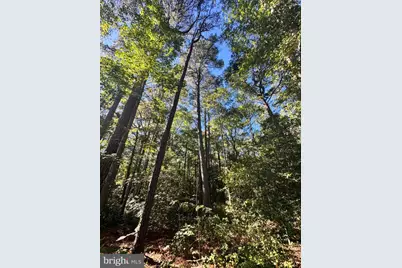 Elliott Island Road, Vienna, MD 21869 - Photo 11