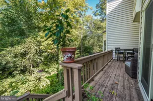 150 Rees Pl, Falls Church, VA 22046 - Photo 19