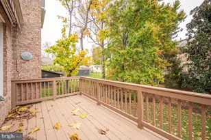 119 E Jefferson St, Falls Church, VA 22046 - Photo 11