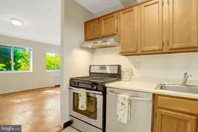 200 N Maple Avenue #313, Falls Church, VA 22046 - Photo 29