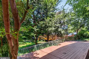 997 N Sycamore St, Falls Church, VA 22046 - Photo 57