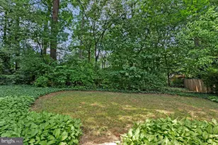 415 Poplar Dr, Falls Church, VA 22046 - Photo 25