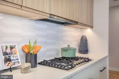 255 W. Falls Station Boulevard #503, Falls Church, VA 22046 - Photo 5
