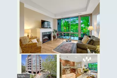 513 W Broad Street #205, Falls Church, VA 22046 - Photo 1