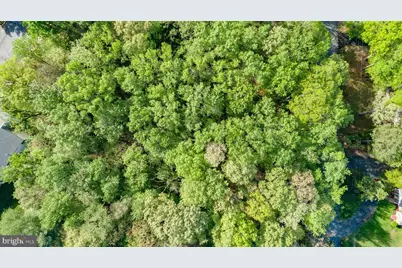 104 Goodloe Drive, Fredericksburg, VA 22401 - Photo 9