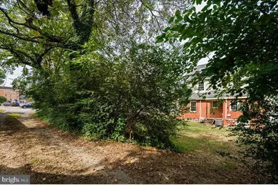 918 William Street, Fredericksburg, VA 22401 - Photo 51