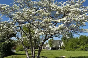 1306 Cardwell St, Fredericksburg, VA 22401 - Photo 3