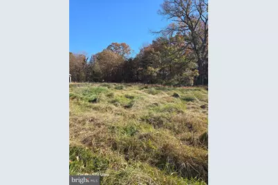 1715 William Street, Fredericksburg, VA 22401 - Photo 3