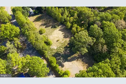 1715 William Street, Fredericksburg, VA 22401 - Photo 3