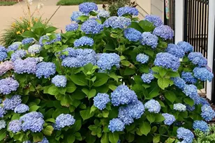 1207 Hearthstone Dr, Fredericksburg, VA 22401 - Photo 49