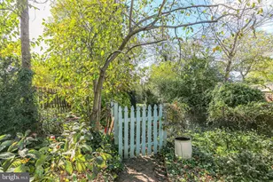 210 Princess Anne St, Fredericksburg, VA 22401 - Photo 21