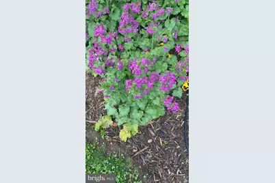 1511 Charles Street, Fredericksburg, VA 22401 - Photo 37