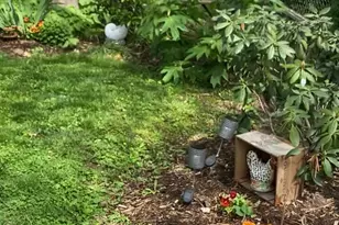 1511 Charles St, Fredericksburg, VA 22401 - Photo 35