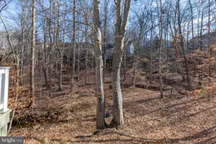 1001 Featherston Ct, Fredericksburg, VA 22401 - Photo 109