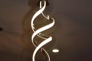 1015 Rampart Dr, Fredericksburg, VA 22401 - Photo 7