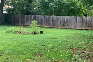 1605 Charles St, Fredericksburg, VA 22401 - Photo 13