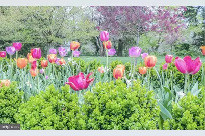 1403 Washington Avenue, Fredericksburg, VA 22401 - Photo 27