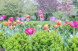 1403 Washington Ave, Fredericksburg, VA 22401 - Photo 27