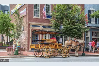 1403 Washington Avenue, Fredericksburg, VA 22401 - Photo 23
