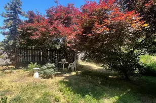 300 Prince Edward St, Fredericksburg, VA 22401 - Photo 45