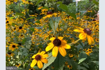 1021 Albert Rennolds Drive, Fredericksburg, VA 22401 - Photo 81