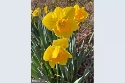 1021 Albert Rennolds Drive, Fredericksburg, VA 22401 - Photo 75