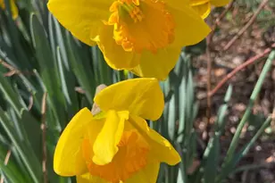 1021 Albert Rennolds Dr, Fredericksburg, VA 22401 - Photo 75