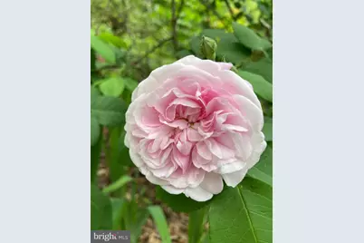 1021 Albert Rennolds Drive, Fredericksburg, VA 22401 - Photo 77