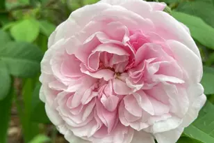 1021 Albert Rennolds Dr, Fredericksburg, VA 22401 - Photo 77