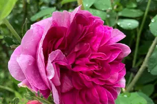 1021 Albert Rennolds Dr, Fredericksburg, VA 22401 - Photo 83