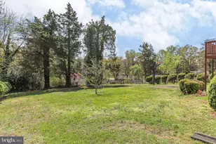 305 Cannon Cir, Fredericksburg, VA 22401 - Photo 47