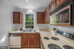 823 College Ave, Fredericksburg, VA 22401 - Photo 19