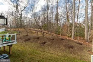 1329 Gilmore St, Fredericksburg, VA 22401 - Photo 31
