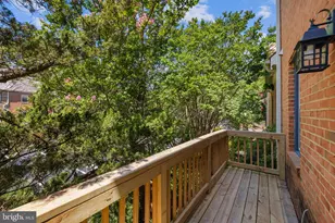 815 College Ave, Fredericksburg, VA 22401 - Photo 23