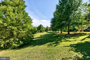 301 Sophia St, Fredericksburg, VA 22401 - Photo 45