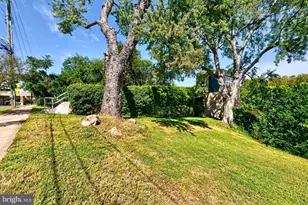 301 Sophia St, Fredericksburg, VA 22401 - Photo 25