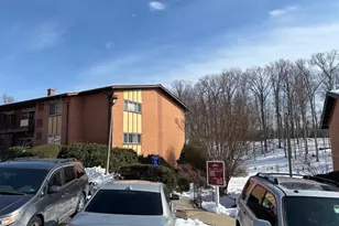 10029 Fair Woods Dr, Fairfax, VA 22030 - Photo 15