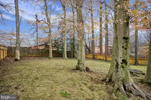 10113 Cardinal Rd, Fairfax, VA 22030 - Photo 53