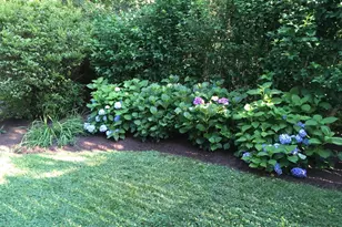 4027 Maple St, Fairfax, VA 22030 - Photo 55