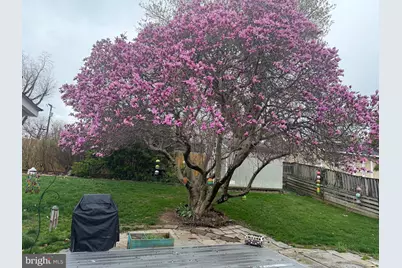 10205 Sager Avenue, Fairfax, VA 22030 - Photo 33