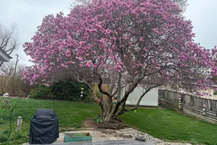 10205 Sager Ave, Fairfax, VA 22030 - Photo 33